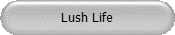 Lush Life